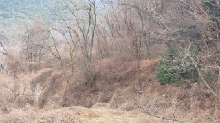 2026타경20080 · 경상남도 창원시 마산합포구 진북면 대티리 583