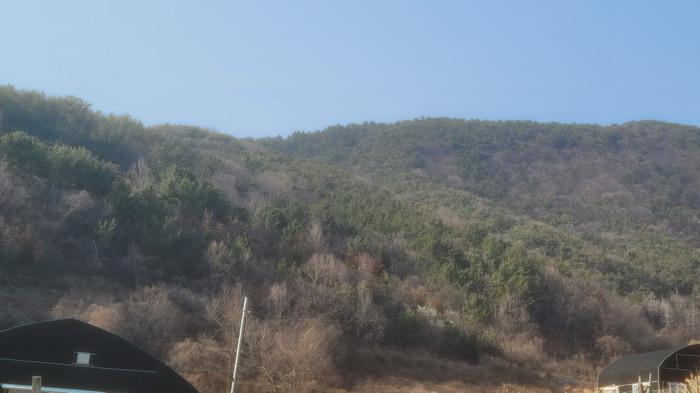 2026타경20103 임야 · 경상남도 창원시 마산회원구 내서읍 안성리 산44