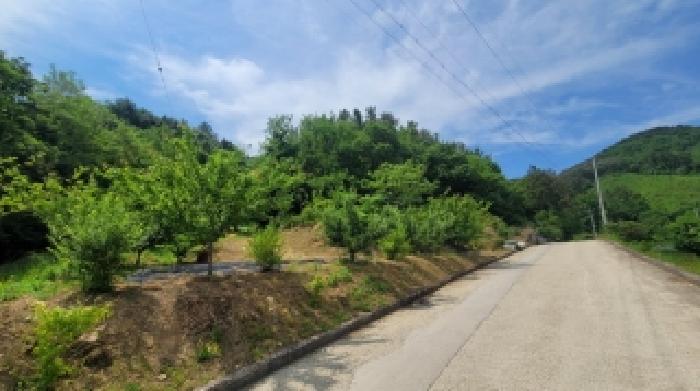 2026타경20230 임야 · 경상남도 함안군 가야읍 묘사리 산12
