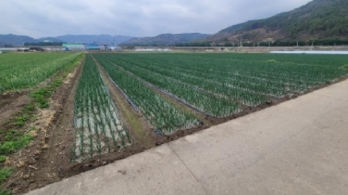 2026타경30 전답 · 경상남도 의령군 부림면