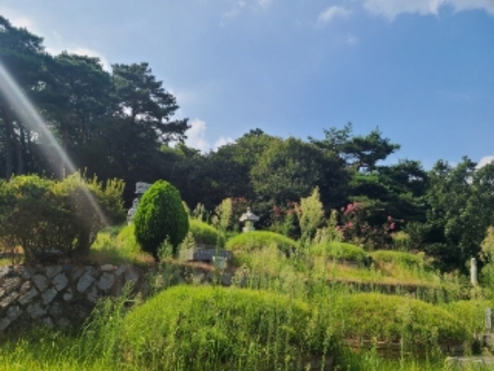 2022타경5329 임야 · 전라남도 장성군 삼계면
