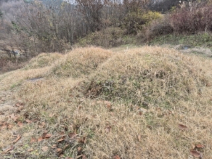 2024타경87066 · 전라남도 곡성군 고달면 목동리 39