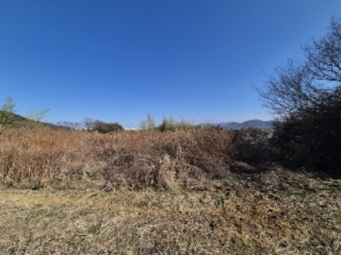 2024타경89147 대지 · 광주광역시 남구 대지동 458