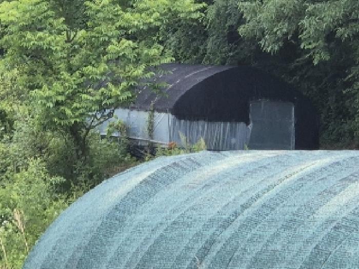 2025타경3089 · 전라남도 담양군 가사문학면