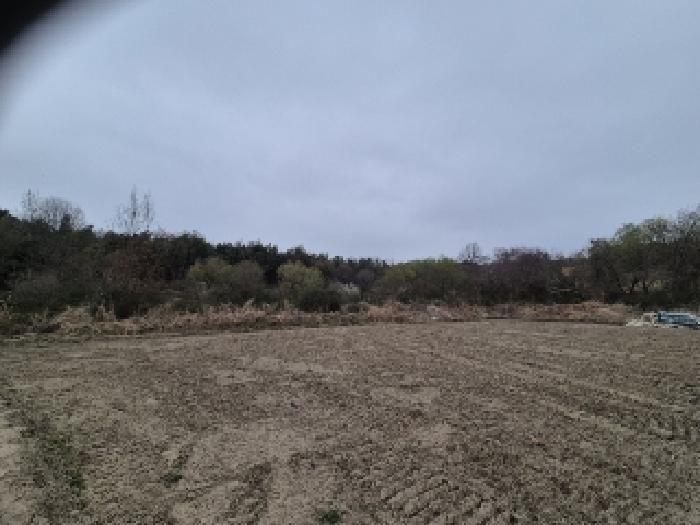 2025타경32298 대지 · 전라남도 담양군 담양읍