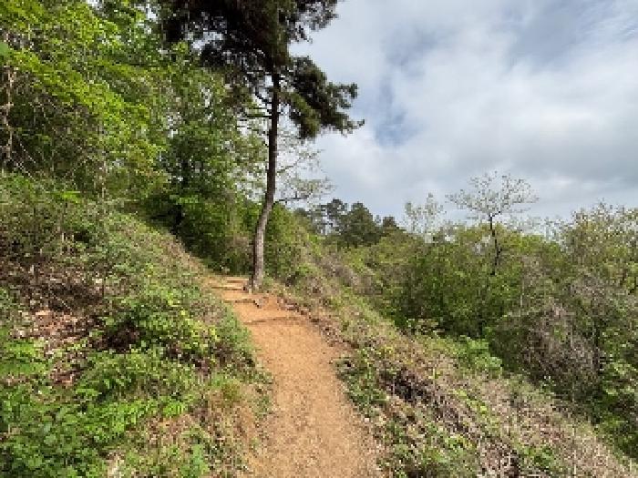 2025타경32448 임야 · 광주광역시 북구 문흥동 산72