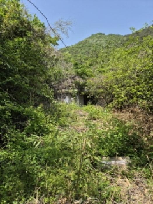 2025타경32486 대지 · 전라남도 화순군 화순읍