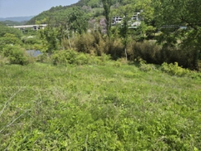 2025타경32624 대지 · 전라남도 담양군 담양읍 학동리 707