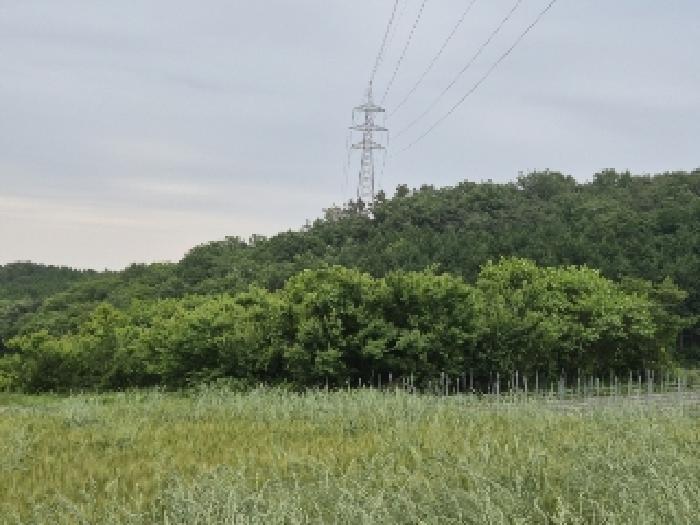 2025타경32819 전답 · 전라남도 장성군 삼계면