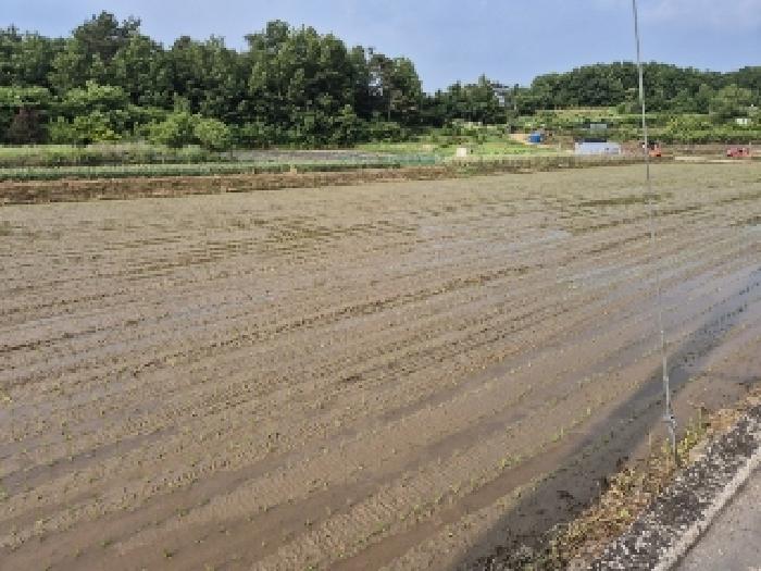 2025타경32870 전답 · 전라남도 나주시 노안면 학산리 310-4