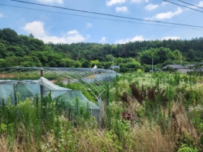 2025타경33090 전답 · 전라남도 나주시 동강면