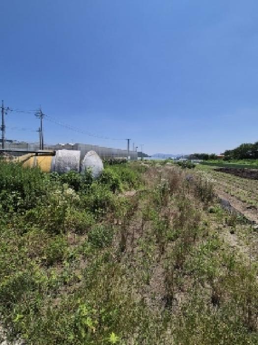 2025타경33140 · 전라남도 화순군 도곡면