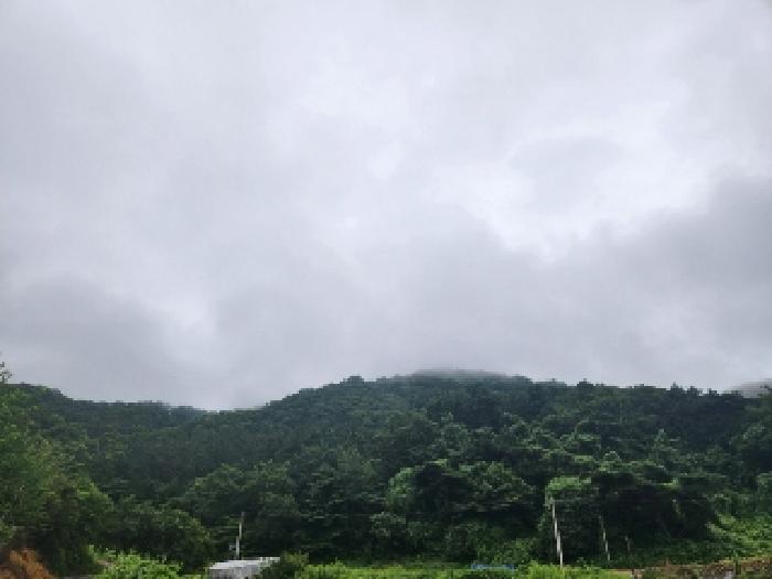 2025타경33175 임야 · 광주광역시 남구 덕남동 산72