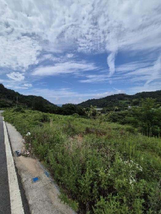 2025타경33467 대지 · 전라남도 담양군 담양읍 학동리 706