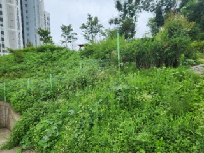 2025타경33471 전답 · 광주광역시 남구 백운동