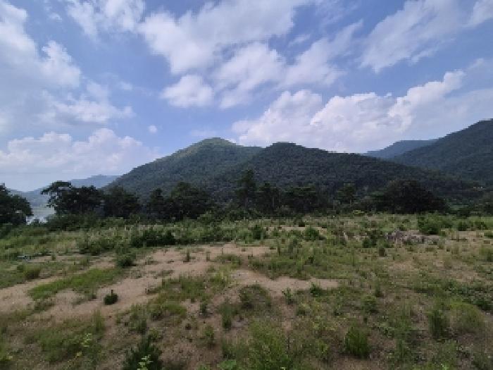 2025타경33573 임야 · 전라남도 곡성군 오곡면 침곡리 산121-11