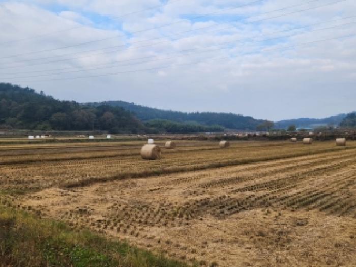 2025타경34184 전답 · 전남광주통합특별시 나주시 동강면 인동리 120-3