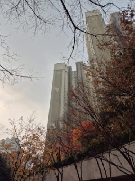 2025타경34385 아파트 · 광주광역시 서구 화운로