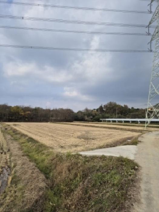 2025타경34391 전답 · 전라남도 담양군 고서면