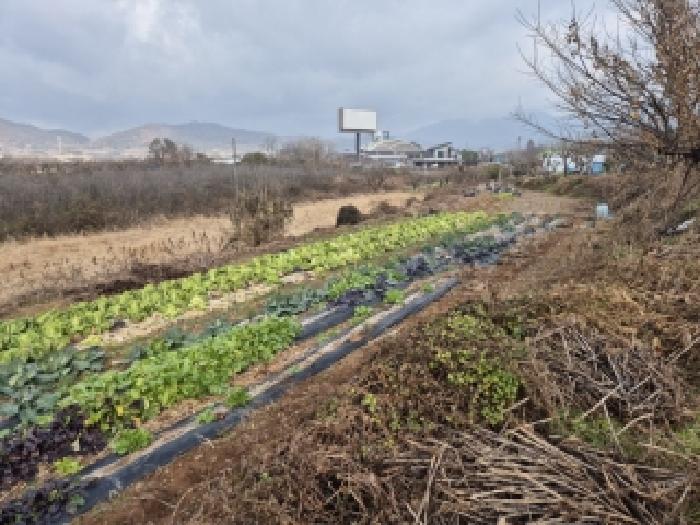 2025타경34507 전답 · 전라남도 장성군 남면
