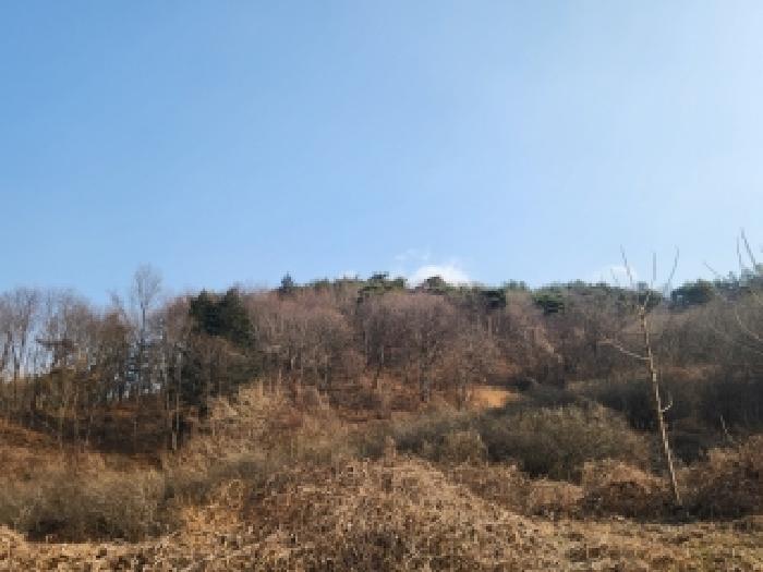 2025타경34601 대지 · 전라남도 곡성군 삼기면 월경리 352-2