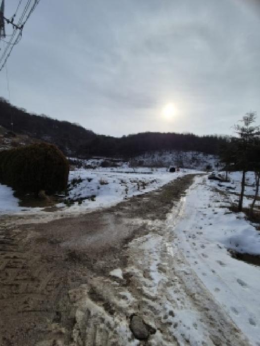 2025타경34604 임야 · 전라남도 영광군 불갑면 우곡리 산102