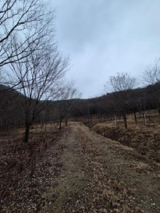 2025타경34634 임야 · 전라남도 담양군 금성면 금성리 산189-2