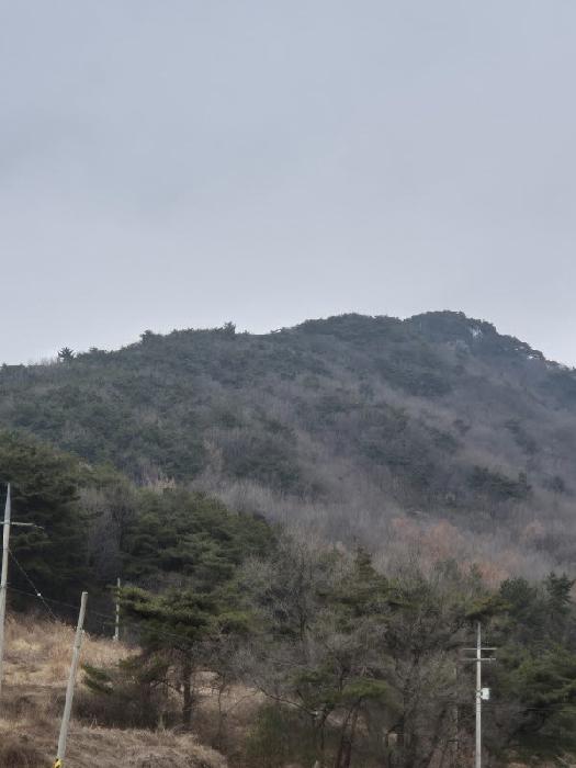 2025타경34699 임야 · 전라남도 장성군 삼계면 죽림리 산13