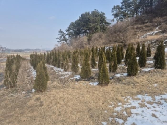 2025타경34710 · 전라남도 영광군 법성면 법성리 1001