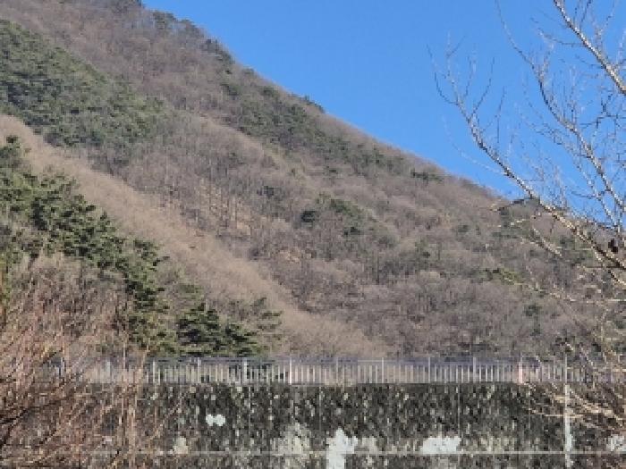 2025타경34723 임야 · 광주광역시 동구 용연동 산293-1