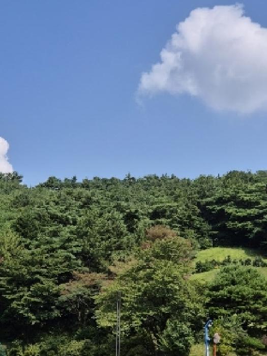 2025타경5030 임야 · 광주광역시 광산구 서봉동