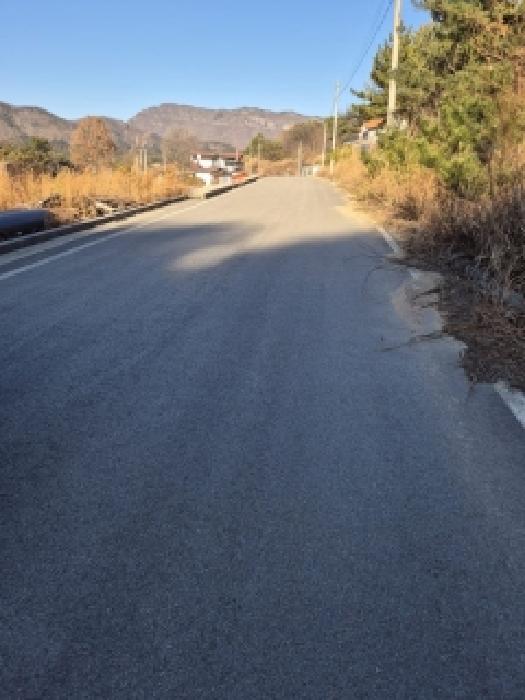 2025타경6941 임야 · 전라남도 장성군 북이면 달성리 99-19
