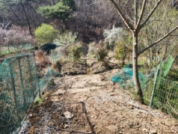 2026타경2460 토지 · 전라남도 담양군 고서면 원강리 928