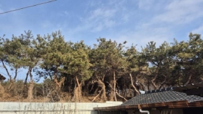 2026타경30328 · 전라남도 나주시 부덕동