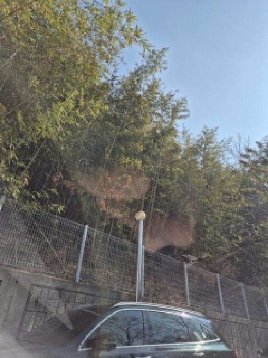 2026타경30483 임야 · 광주광역시 북구 월출동 산68-4