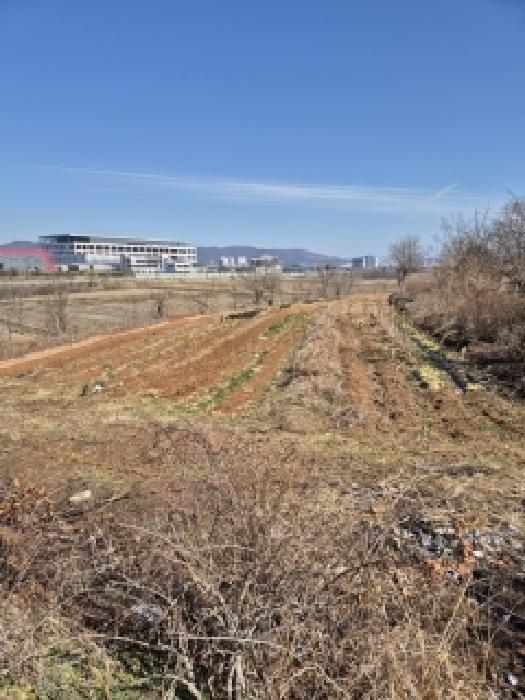 2026타경30583 임야 · 광주광역시 광산구 요기동 산17-13