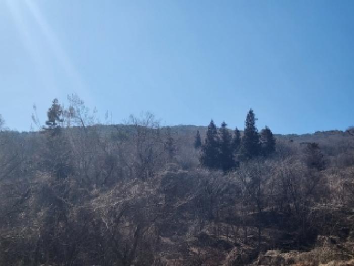 2026타경30658 전답 · 전라남도 담양군 월산면