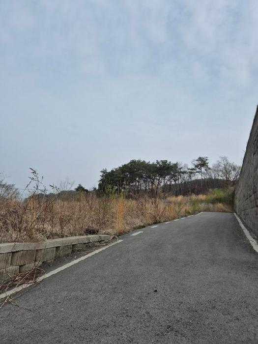 2026타경30729 임야 · 전남광주통합특별시 장성군 삼서면 수양리 20-4