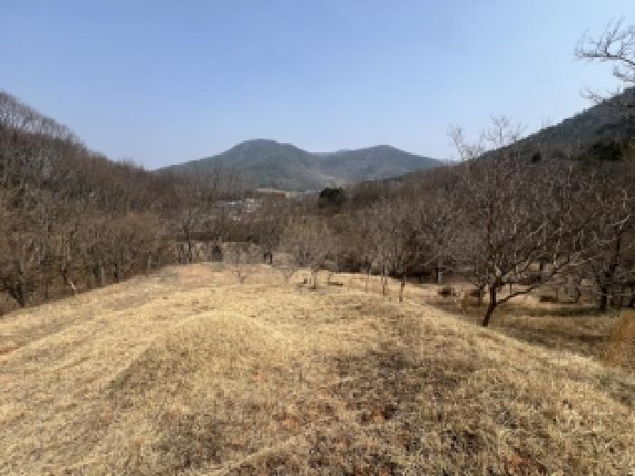 2026타경30811 임야 · 전라남도 담양군 대덕면 문학리 산92