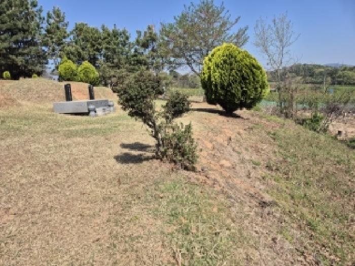 2026타경30894 임야 · 광주광역시 광산구 요기동 산46-1
