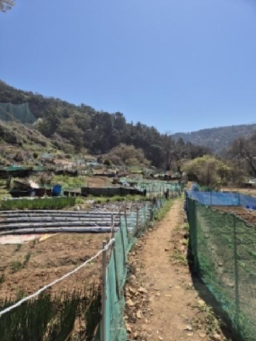 2026타경30935 임야 · 전남광주통합특별시 동구 지산동 산40-3