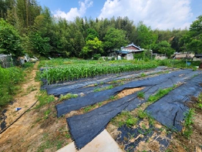 2026타경31067 대지 · 전라남도 담양군 봉산면 유산리 308-2