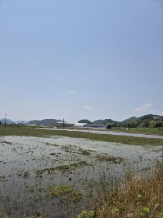2026타경31428 · 전라남도 장성군 서삼면 송현리 581