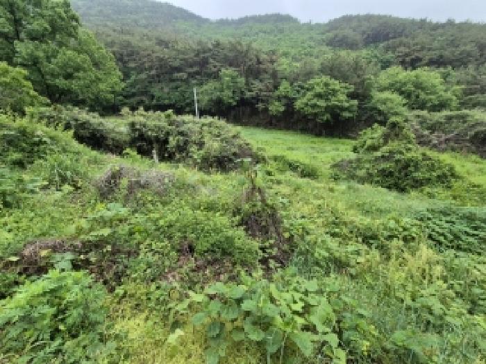 2026타경31439 · 전라남도 영광군 백수읍 대신리 324-2