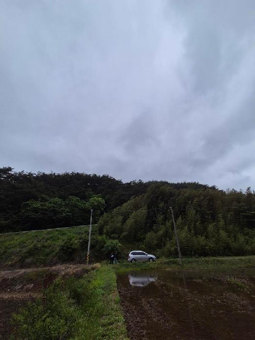 2026타경31562 · 전라남도 화순군 동복면 안성리 44-2