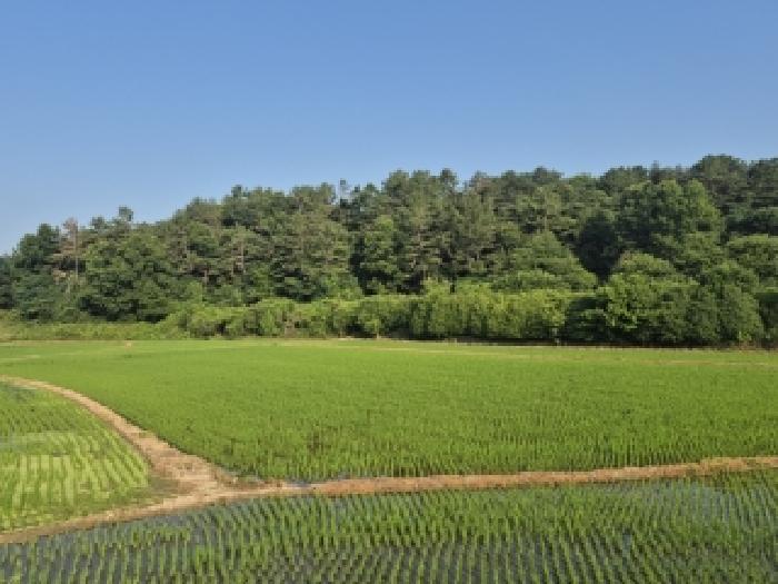 2026타경31789 · 전남광주통합특별시 남구 임암동 457