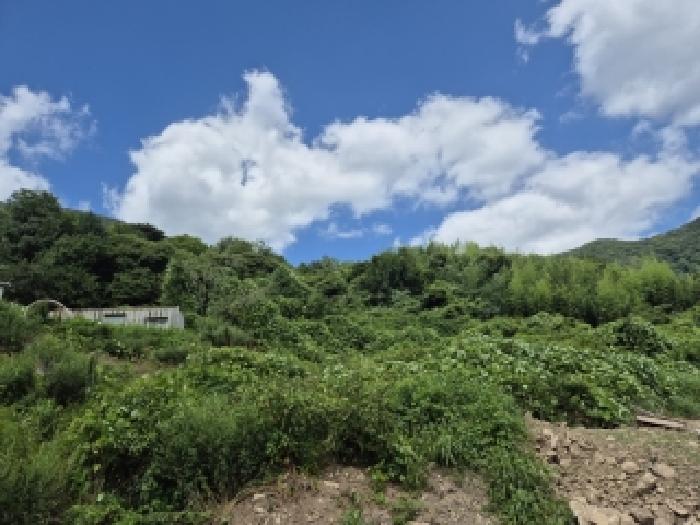 2026타경32090 임야 · 전남광주통합특별시 화순군 화순읍 수만리 산18