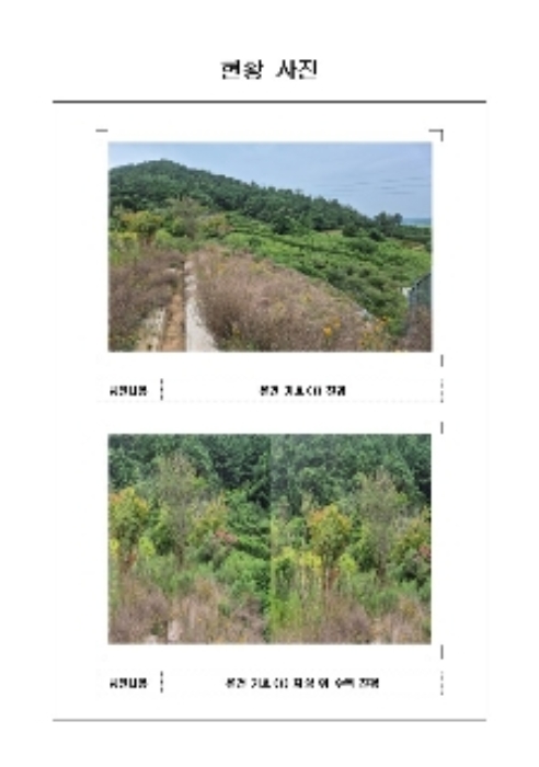 2024타경54762 대지 · 전라남도 무안군 삼향읍