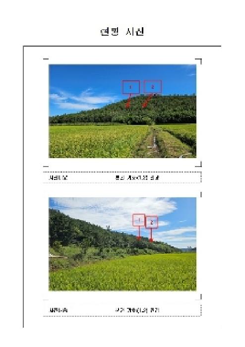 2025타경486 임야 · 전라남도 신안군 압해읍