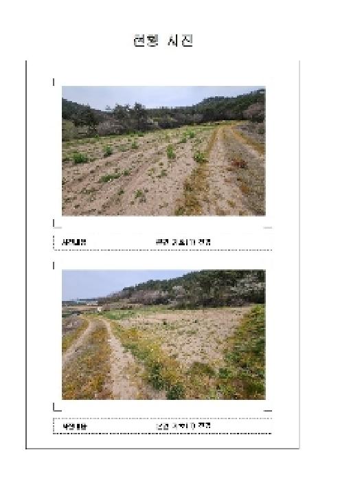 2025타경50991 전답 · 전라남도 신안군 지도읍